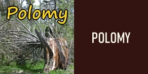 Polomy